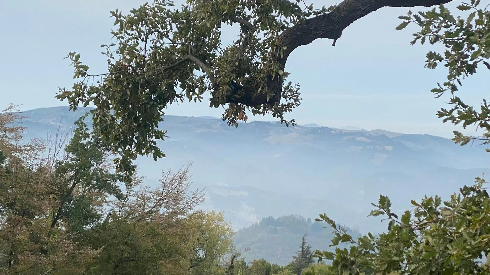 Monte Cuccolo House B&B Fontanelice 0*,  Italie