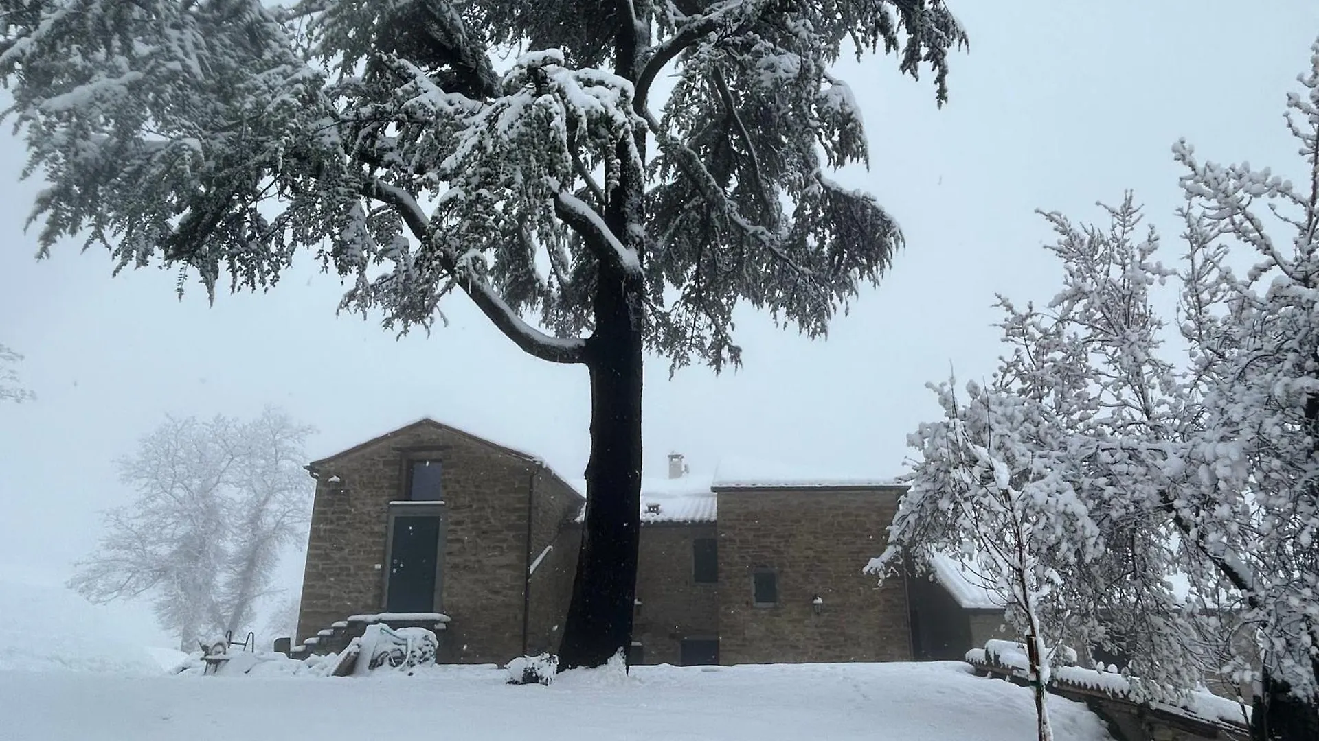 Monte Cuccolo House B&B Fontanelice Bed & Breakfast