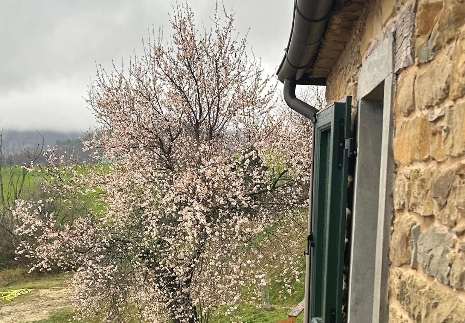 Bed & Breakfast Monte Cuccolo House B&B Fontanelice