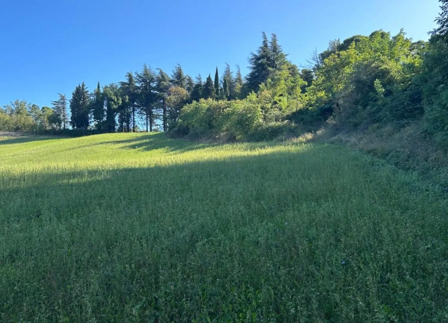 Monte Cuccolo House B&B Fontanelice Italie