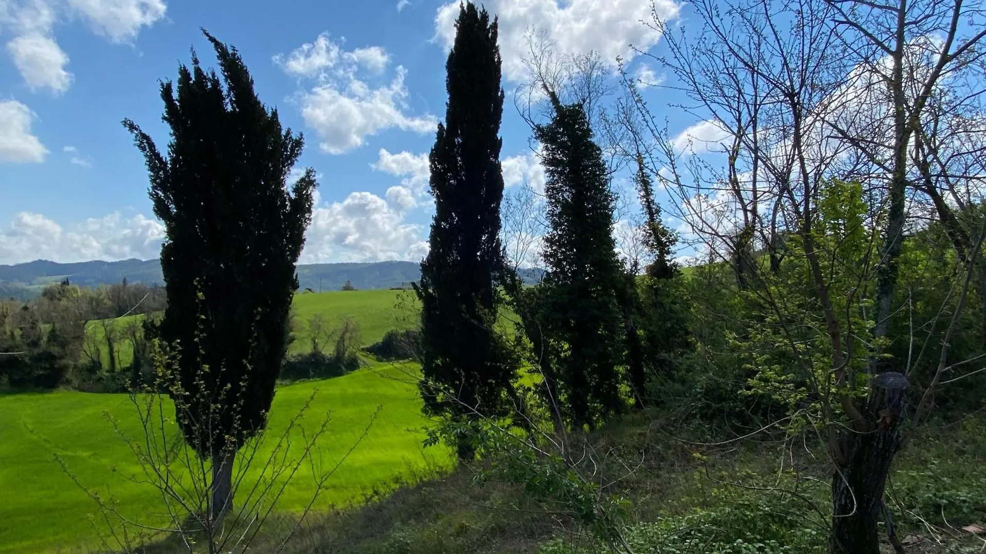 Monte Cuccolo House B&B Fontanelice Bed & Breakfast